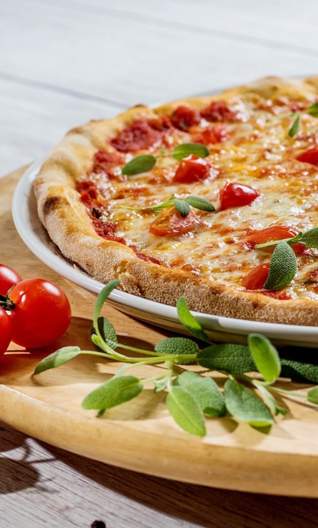 pizza, plate, food, cheese, lunch, vegetables, italian, vegetarian pizza, pizza slices, italian food, italian cuisine, composition, food photography, pizza, pizza, pizza, pizza, pizza, food, food, food